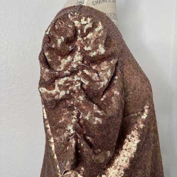 Abercrombie & Fitch  Sequined Blouse Shirt Size L - Picture 3 of 7